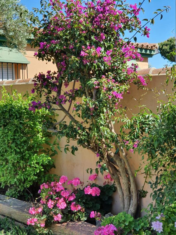 Villa Ostrero Chiclana de la Frontera Buitenkant foto
